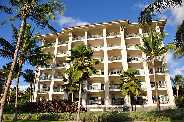 istock Palm trees and condos, Maui 178365166