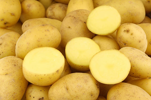 istock background of freshly harvested dutch seed potatoes (krieltjes) 178365429