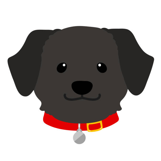 Labradinger Cartoon 170+ Black Labrador Retriever Cartoon Stock Photos, Pictures & Royalty ...