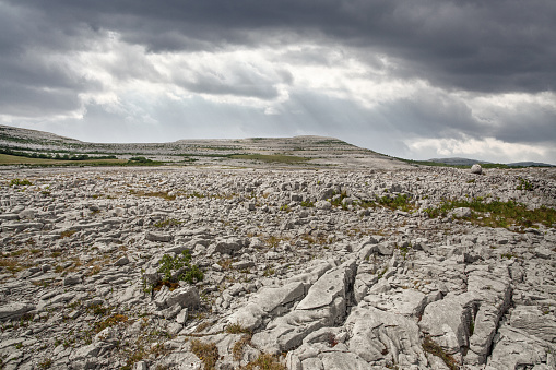 Explore the captivating landscapes of The Burren in County Clare, where a barren yet beautiful karst formation unfolds. This non-urban scene showcases ancient rocks, limestone wonders, and a unique physical geography. Wander through the silent stones, experiencing the tranquil serenity of this timeless environment.