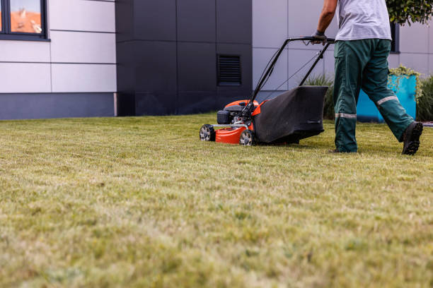 istock An unrecognizable man is mowing grass on a public lawn. 1783663230