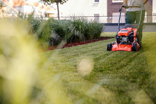 Automatic baterry Lawn mower cutting green grass in modern garden. Sunset mood. Robot. Copyspace