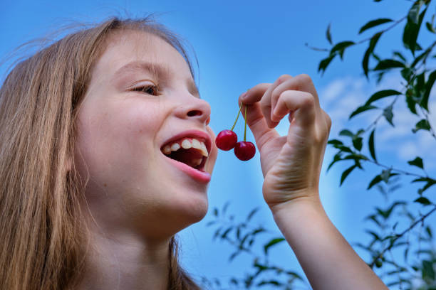 A smiling, positive teenage girl in the garden holds a ripe cherry in her hand and eats it, against the blue sky. Cherry harvesting. A smiling, positive teenage girl in the garden holds a ripe cherry in her hand and eats it, against the blue sky. Cherry harvesting. tasting cherry eating human face stock pictures, royalty-free photos & images