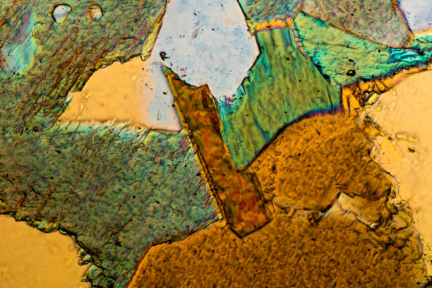 Free Stock Photo of Crystals under the microscope | Download Free ...