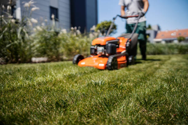 istock Blurry picture of a man using a lawn mower for maintaining the grass. 1783673114