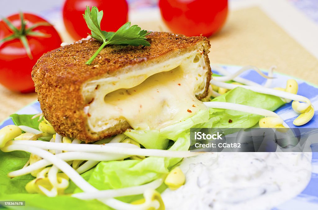 Fried cheese with tatar sauce Traditional czech fried cheese with tatar sauce Baked Stock Photo