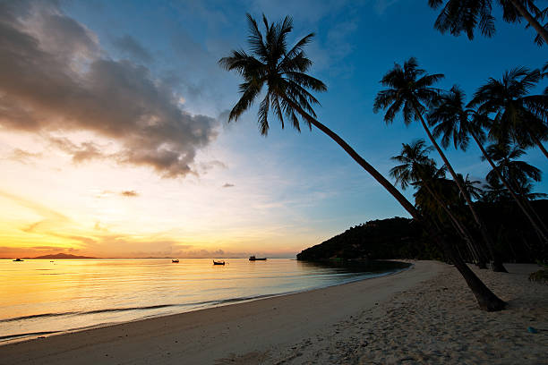 istock Beautiful sunrise at Beach with palms 178368124