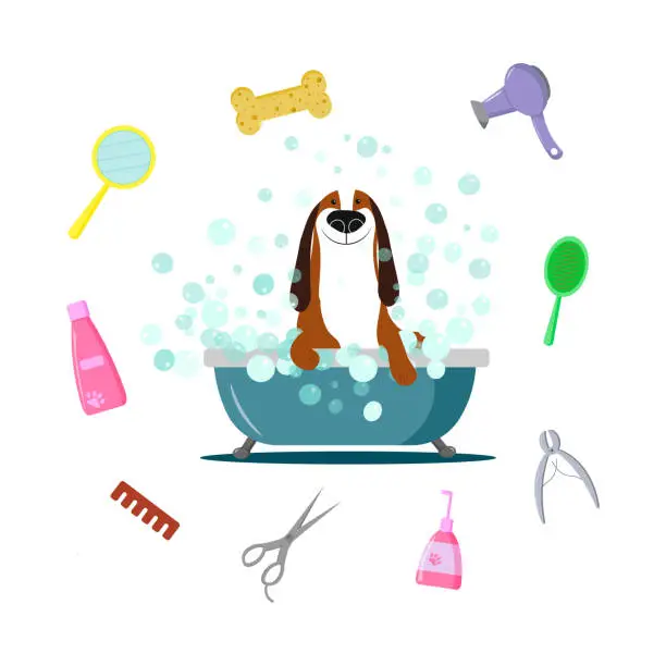 Vector illustration of Cartoon dog sits in a bubble bath. The concept of a grooming salon.