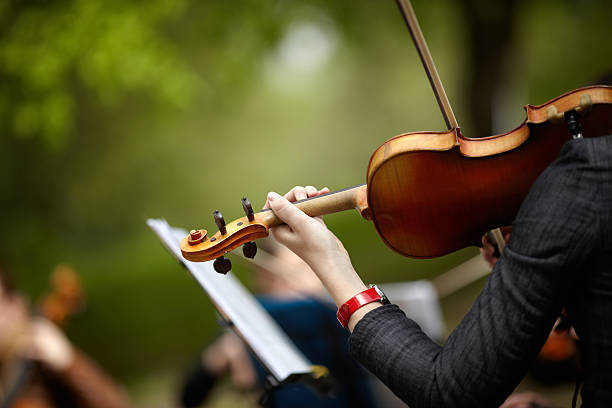 istock Woman holding violin with a focus on hand 178368630