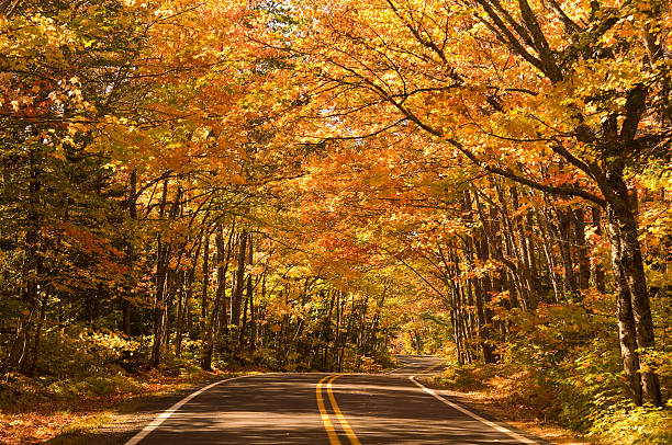 michigan conduzir em colorido outono folhas - country road winding road road michigan imagens e fotografias de stock