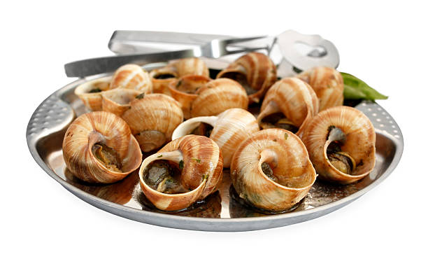 Snail escargot prepared as food stock photo