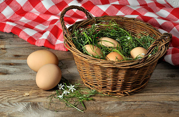 two fresh eggs stock photo