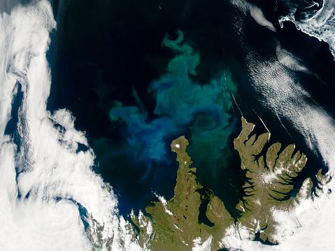 Top view of phytoplankton bloom on the sea in Iceland. Elements of this image furnished by NASA