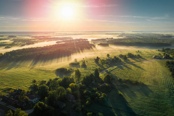 istock Summer sunrise over green fields with light fog and forests in Belarus 1783702319