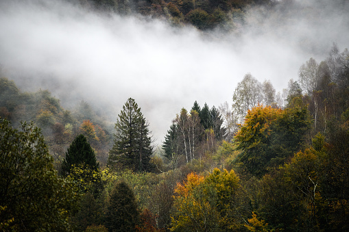 Misty morning haze in the valley in the autumn. Colorful autumn landscape