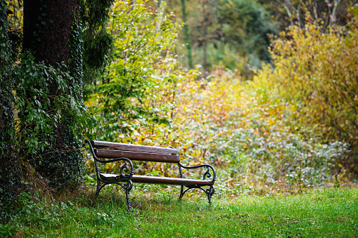 Empty park bench in mountain forest with idyllic golden view. Autumn golden colours in the woods with resting relaxation wooden bench and perfect view of nature and valley.