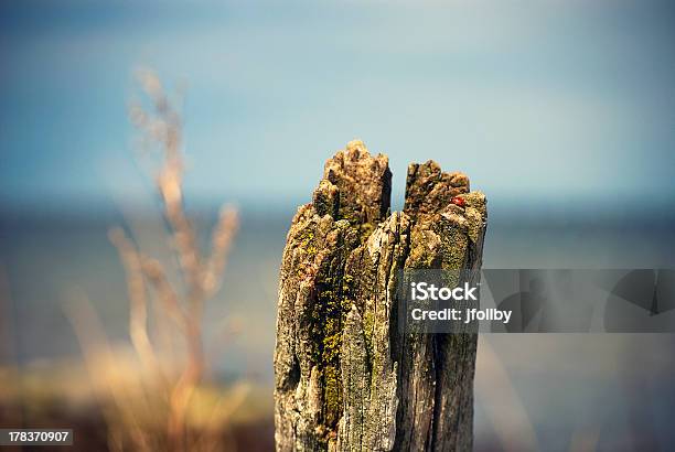 Wooden Stake Stock Photo - Download Image Now - Backgrounds, Blue, Brown