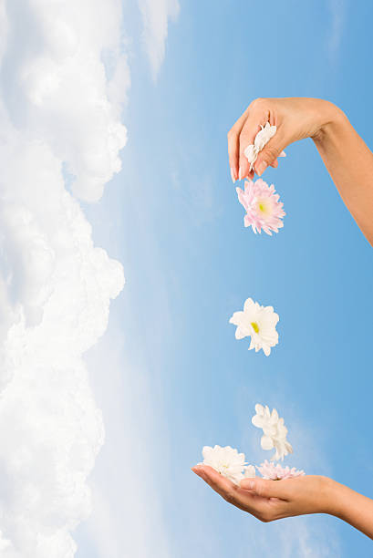 istock woman hands and flowers 178371068