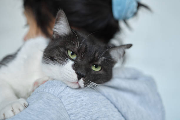 Female volunteer holding a stray cat in her arms.