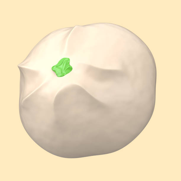 istock 3d rendering of bakpao icon isolated on cleare background. 1783712921