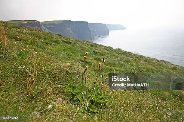 モハーの断崖 - Horizonのストックフォトや画像を多数ご用意 - Horizon, かすみ, アイルランド共和国