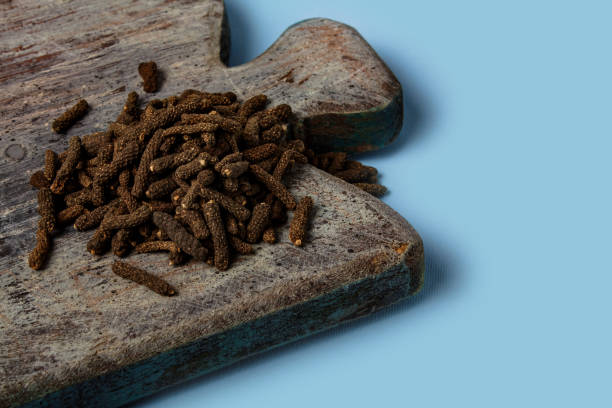 Dry Indian long pepper on a cutting board. Piper Longum ,Piper retrofractum. Herbal medicine concept Dry Indian long pepper on a cutting board. Piper Longum ,Piper retrofractum. Herbal medicine concept capsicum annuum longum stock pictures, royalty-free photos & images