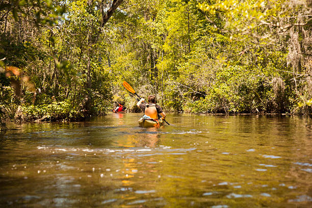 istock Two Kayakers on Cat Head Creek 178372461
