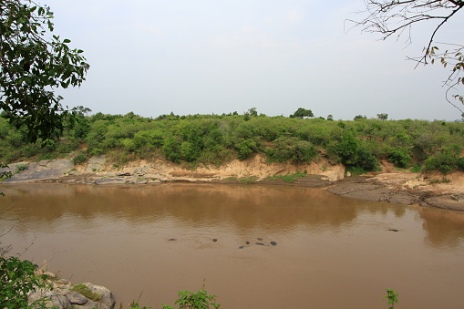Mara river in Masai Mara National Reserve