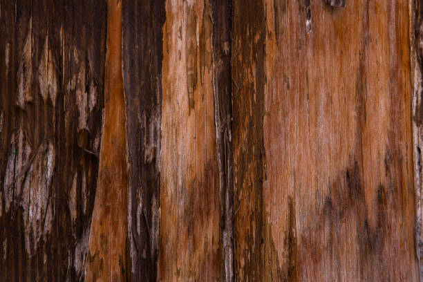 istock Old wood texture background, surface with old natural colored wood, top view. 1783729110