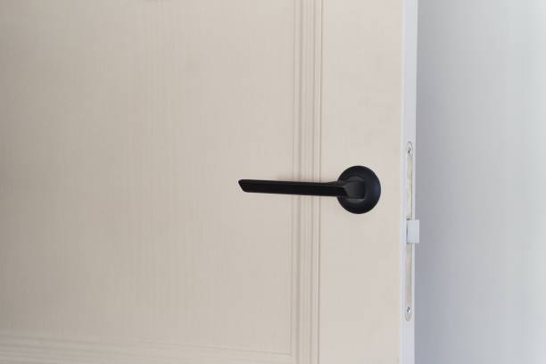 istock interior door close up with black door handle 1783730455