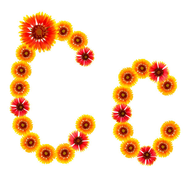 istock letter of C  the English alphabet 178373230