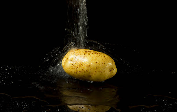 Potato stock photo