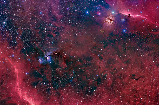 nébuleuses inexplorées de orion constellation - horsehead nebula photos et images de collection