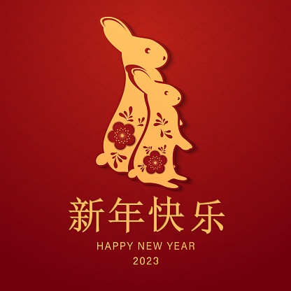 happy new year of the rabbit written in Chinese character, paper art style with elegant flowers and hanging lanterns