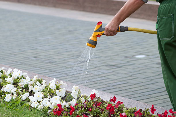 istock Gardener watering flowers from hose 178373792