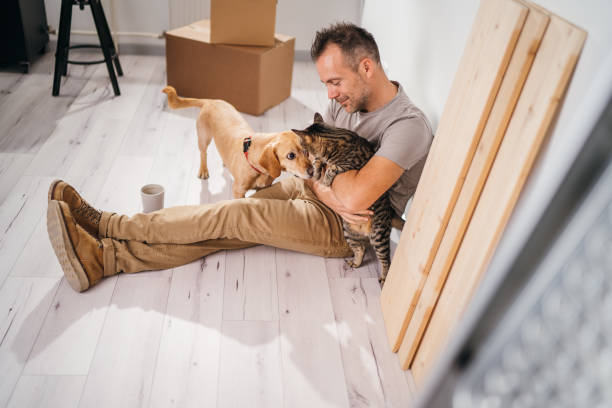 istock a coffee break with my pets while the renovation is in progress 1783739298