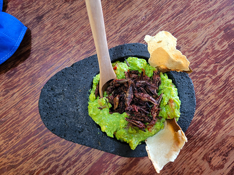 Guacamole with grasshoppers, in an avocado-shaped molcajete on a wooden table