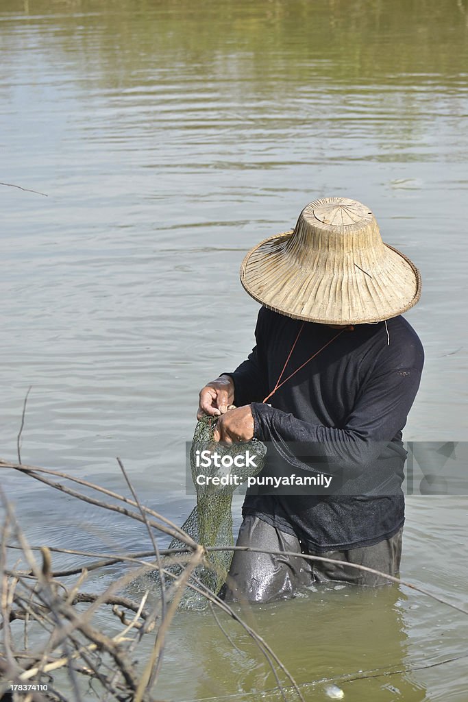 fisherman hunting fish in countryside pond of Thailand fisherman hunting fish in countryside pond by purse seine of Thailand southeast asia Animal Stock Photo