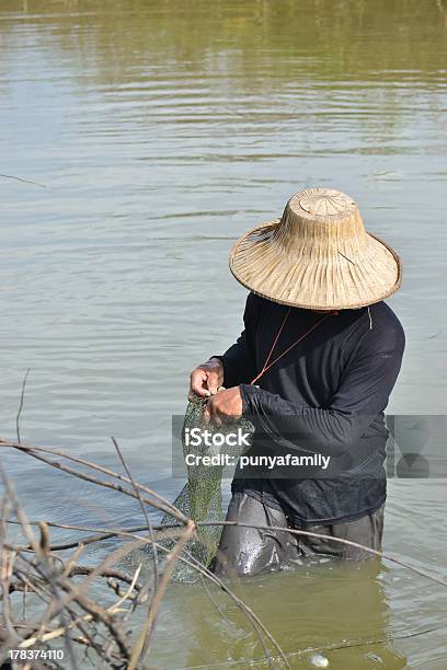 Fisherman Hunting Fish In Countryside Pond Of Thailand Stock Photo - Download Image Now