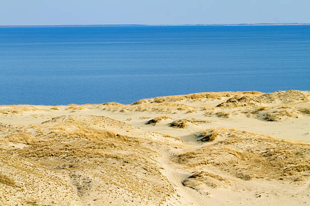 istock Desert sand background of a Curonian Spit dune 178374430