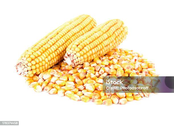 Corn Stockfoto und mehr Bilder von Abnehmen - Abnehmen, Ausgedörrt, Blütenkolben