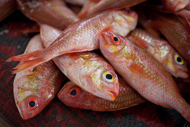 istock Close up of fish on display 178374550