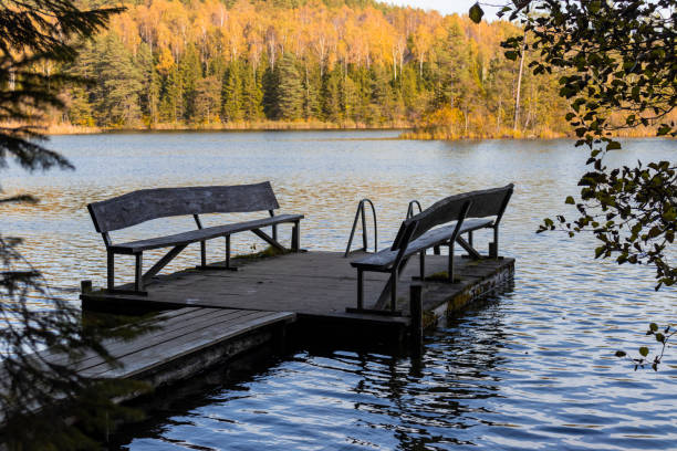 istock pier with benches on a forest lake in the autumn forest 1783746879
