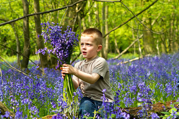 Adorable little girl picking the first flowers of spring in the woods on beautiful sunny spring day