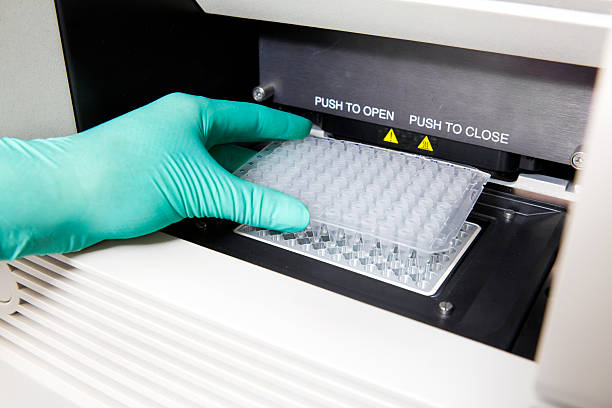 Green gloves, Thermal PCR cycler, DNA copy, wide stock photo