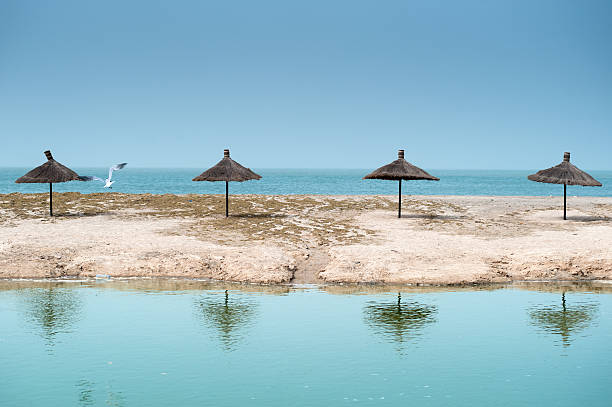Senegal Beach's panorama "Four beach umbrellas opened on the coast of the Senegal close to Mbour. Meanwhile, a seagull passes among them." senegal beach stock pictures, royalty-free photos & images