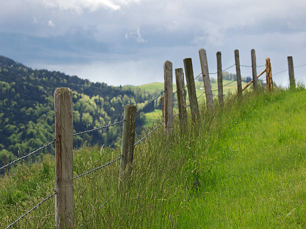 istock Looking over the pasture fence 178375612