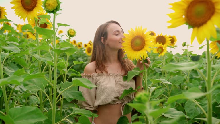 Beautiful woman walks through a field of sunflowers. A young woman walks through a field of sunflowers. The concept of fashion, lifestyle, travel and leisure.