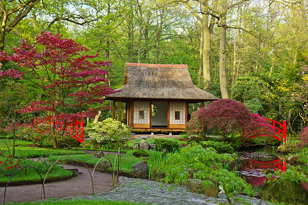 giardino orientale - nature japanese garden formal garden ornamental garden foto e immagini stock