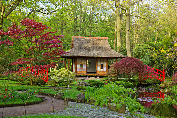 일본식 정원 - nature japanese garden formal garden ornamental garden 뉴스 사진 이미지
